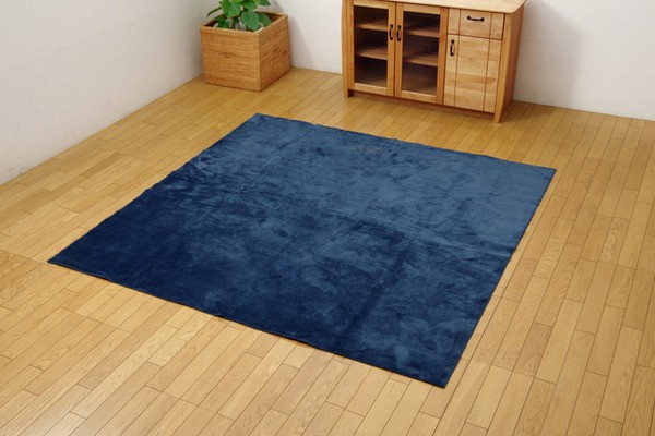 大特価新作 ラグ カーペット 3畳 洗える 無地 『イーズ』 ネイビー 約185×240cm 裏:すべりにくい加工 (ホットカーペット対応)の通販はau PAY マーケット - フジックス|商品ロットナンバー:249525949 100%新品新作