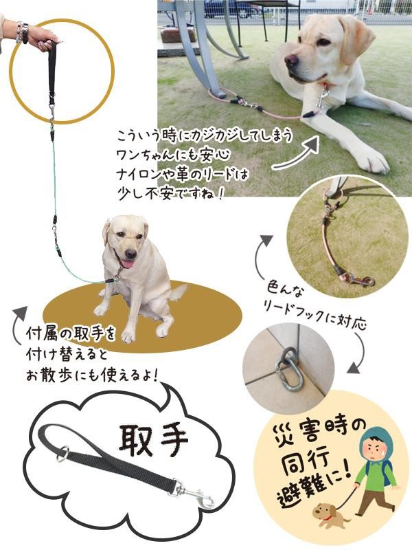 ドッグリード 犬用リード おでかけワイヤーリード 全長70cm 中型犬 大型犬対応 ピンクの通販はau Wowma ワウマ フジックス 商品ロットナンバー