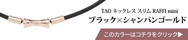 ブラック×シャンパンゴールドはこちら
