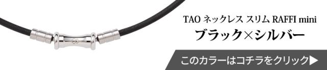 ブラック×シルバーはこちら