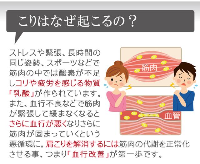 血行を改善することが肩こり解消の秘訣