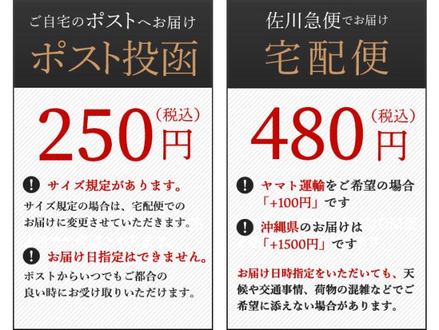 ネコポス250円 宅配便480円