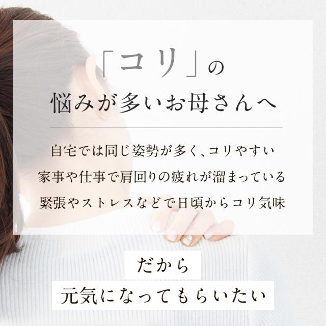 サンシャレーヌ 大人の癒し 磁気ネックレス