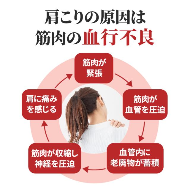 サンシャレーヌ ウルトラネオ 磁気ネックレス