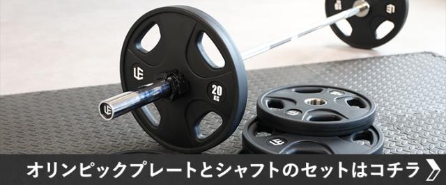 リーディングエッジ LEADING EDGE オリンピックシャフト 192cm