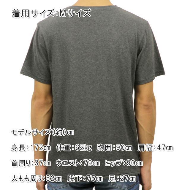 ヌーディージーンズ Nudie Jeans メンズ 半袖Tシャツ Round Neck T-Shirt 131260 Greymelange