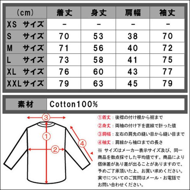 アメリカンイーグル AMERICAN EAGLE 正規品 メンズ 長袖シャツ BUTTON DOWN SHIRT 0513-8692