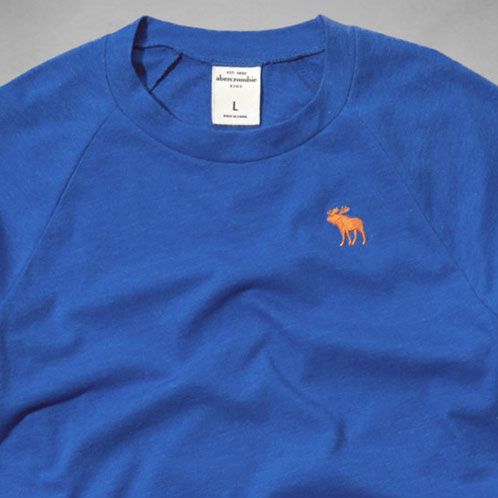 アバクロキッズ AbercrombieKids 正規品 子供服 ボーイズ 長袖Tシャツ crew long sleeve tee 224-663-0338-026