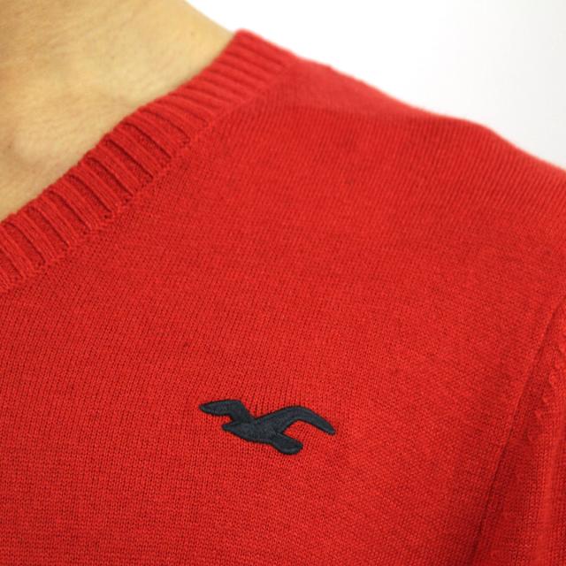 ホリスター HOLLISTER 正規品 メンズ セーター Iconic V-Neck Sweater 320-201-0295-500