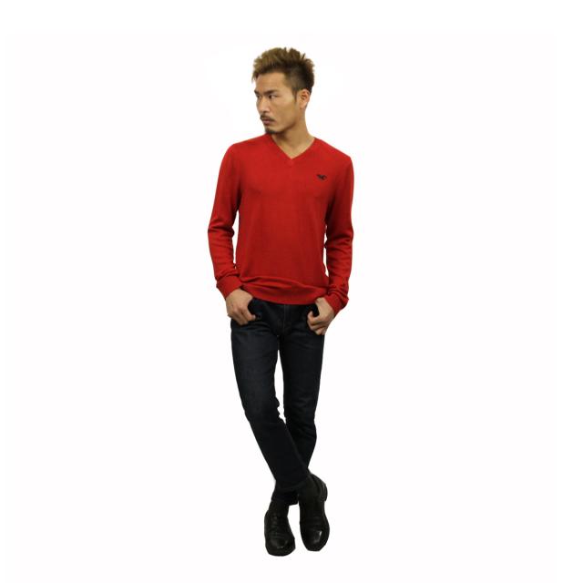 ホリスター HOLLISTER 正規品 メンズ セーター Iconic V-Neck Sweater 320-201-0295-500