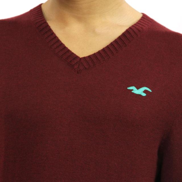 ホリスター HOLLISTER 正規品 メンズ セーター Iconic V-Neck Sweater 320-201-0295-520