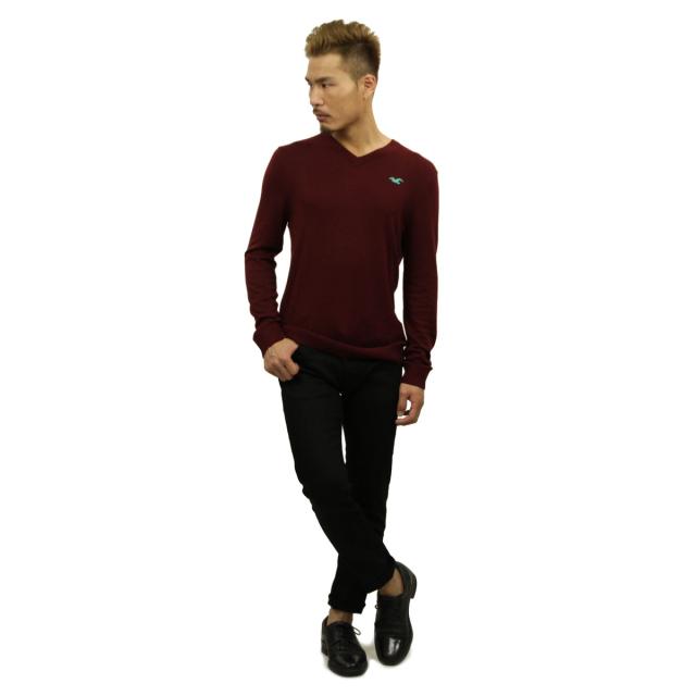 ホリスター HOLLISTER 正規品 メンズ セーター Iconic V-Neck Sweater 320-201-0295-520