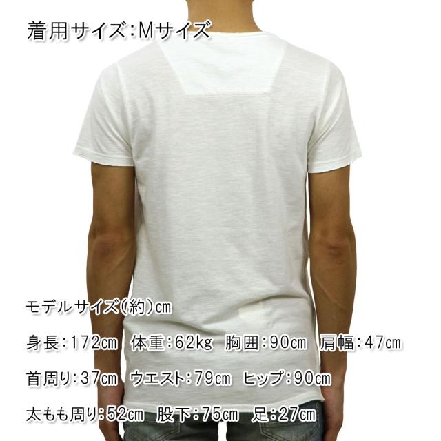 ディストレス DSTREZZED 正規販売店 メンズ 半袖Tシャツ Basic Crew s/s Slub Jersey 202209 1