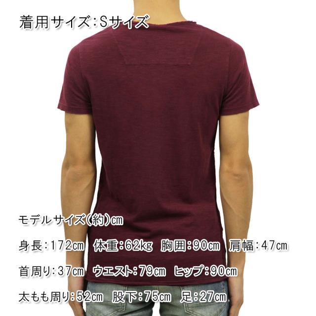 ディストレス DSTREZZED 正規販売店 メンズ 半袖Tシャツ Basic Crew s/s Slub Jersey 202209 22