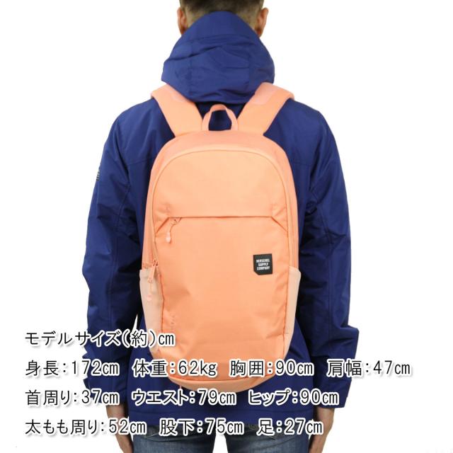 herschel_4.jpg