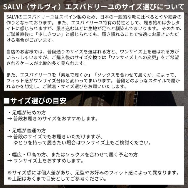 salvi_1.jpg