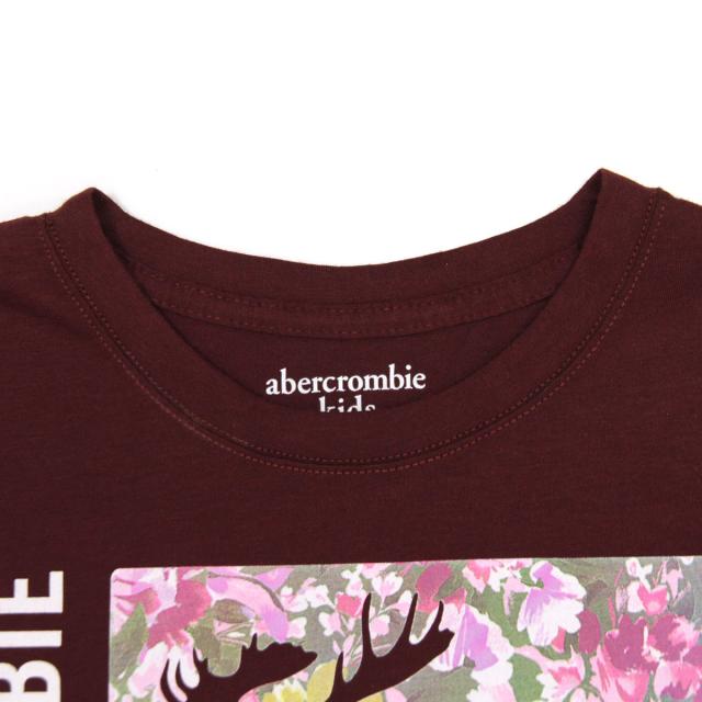abercrombie_girls_2.jpg