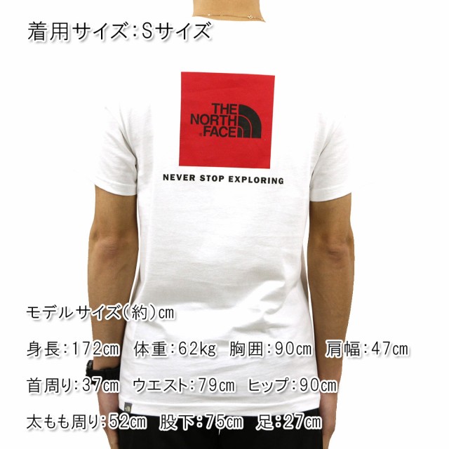 超レア❗海外 ノースフェイス Tシャツ バックプリント ボックスロゴ K361A
