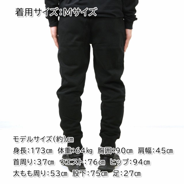 ノースフェイス メンズ ジョガーパンツ 正規品 THE NORTH FACE