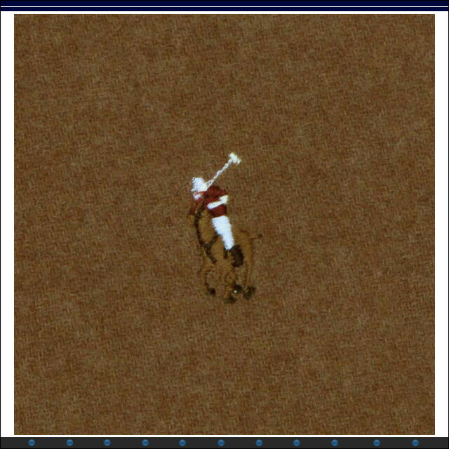 ポロ・ラルフローレン スモールポニーマフラー 6F0200 CAMEL 036