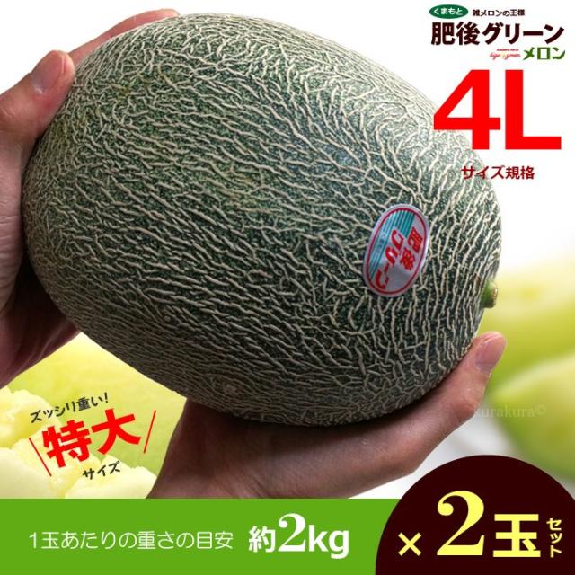 肥後グリーンメロン4L2玉（2kg×2玉）セット販売
