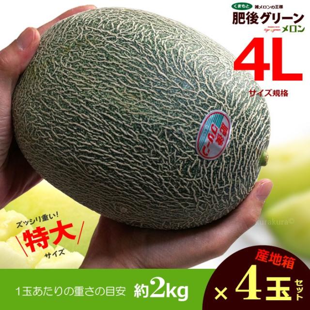 肥後グリーンメロン4L4玉（2kg×4玉）セット販売