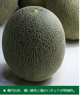 肥後グリーンメロン特徴