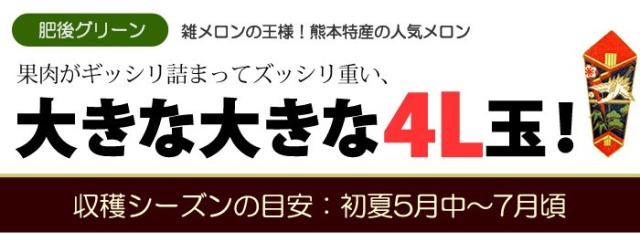 肥後グリーンメロン大きな4L玉
