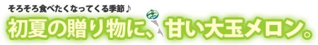 初夏の贈り物に、甘い大玉メロン
