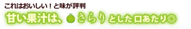 肥後グリーン高糖度さらりと甘い