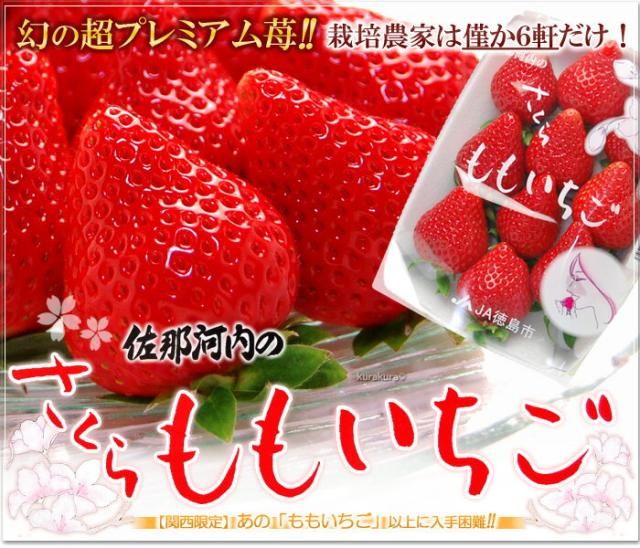 さくらももいちご販売/通販/お取り寄せ