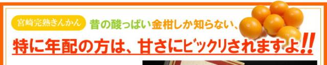 宮崎産完熟金柑「たまたまエクセレント」化粧箱入り