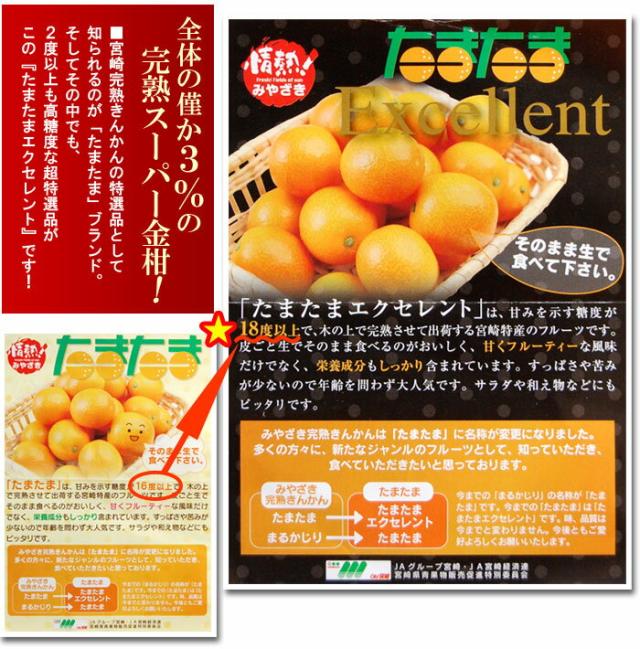 「たまたま」の新規格