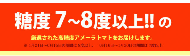 アメーラトマトの糖度