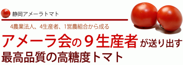 最高品質の高糖度トマト