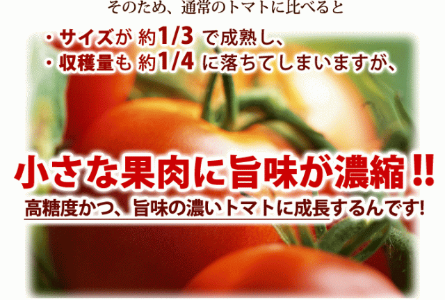 旨味栄養価を濃縮