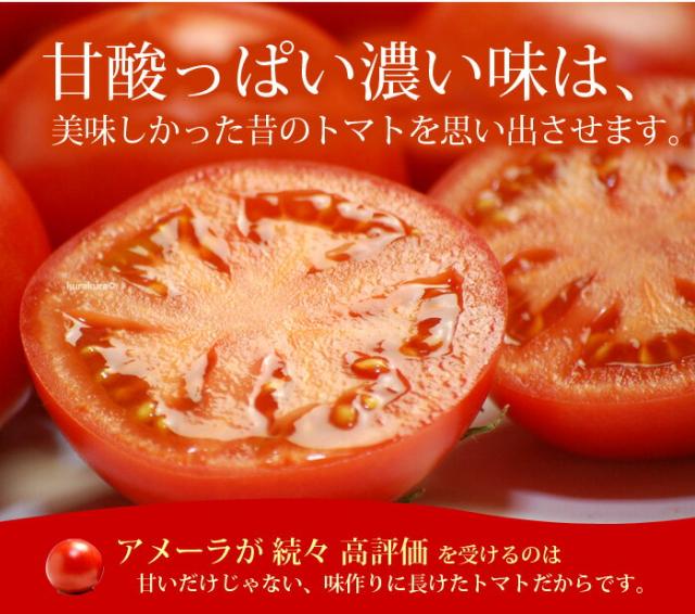 アメーラトマトは味が自慢