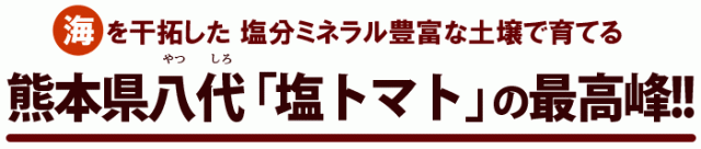 ロイヤルセレブは塩トマトの最高峰