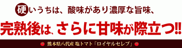 完熟後は甘味が際立つ