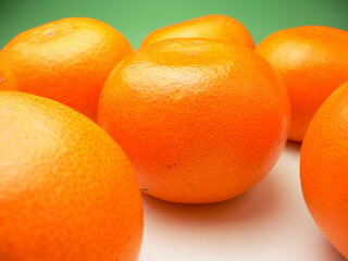 高級柑橘の代名詞「せとか」