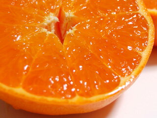 せとか緻密な果肉