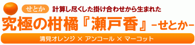 せとか紹介　
