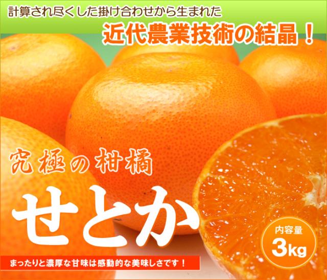 究極の柑橘「せとか」販売/通販/お取り寄せ