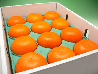 せとか秀品化粧箱