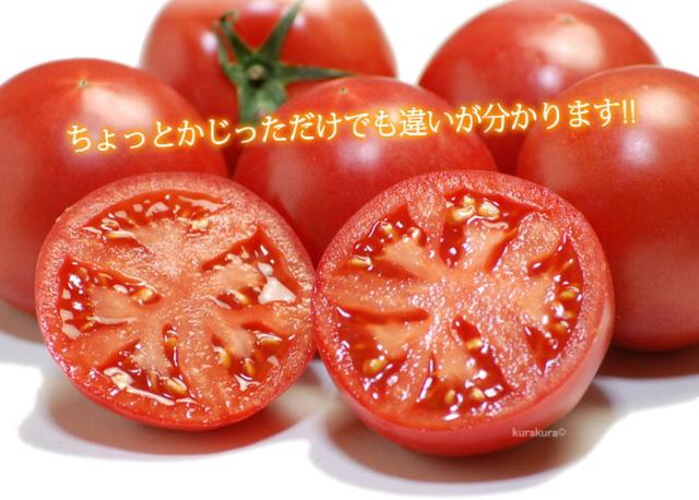 違いの分かる美味しいフルーツトマト