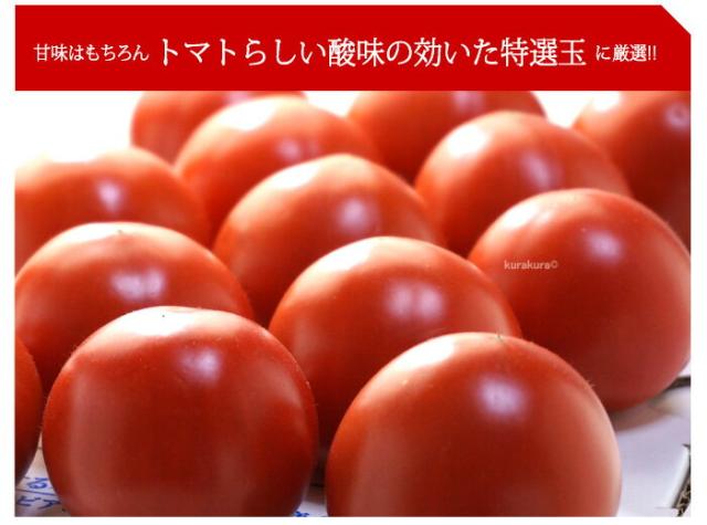 手詰めした真っ赤なトマト