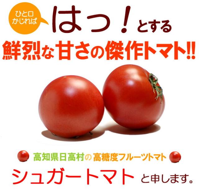 傑作フルーツトマト「シュガートマト」
