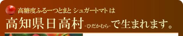 高知県日高村の紹介