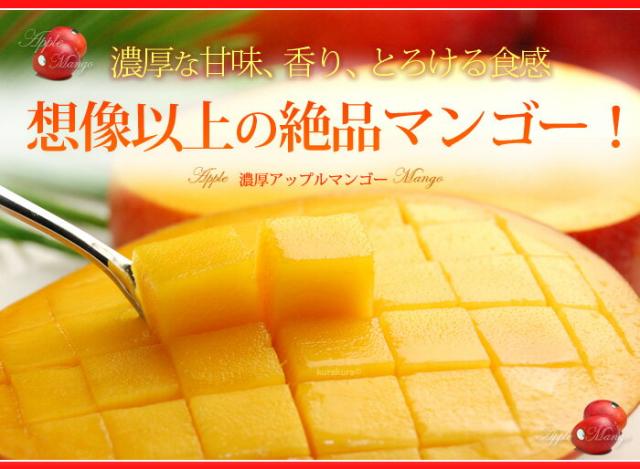 想像以上の絶品マンゴー