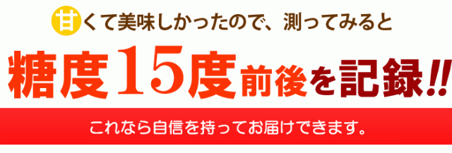 マンゴーの糖度を計ってみました